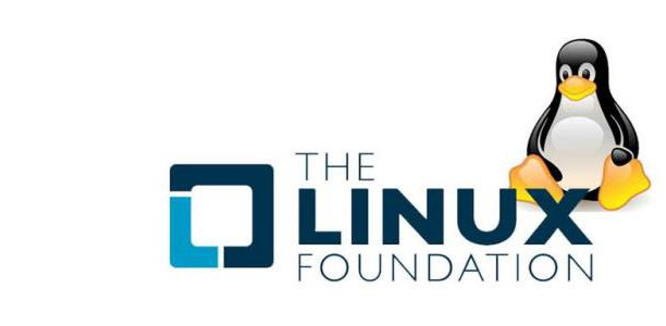 5fd636524e641.png image.png